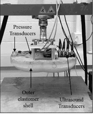 This is the actual complaint cushion loading indenter (CCLI) setup. The CCLI is attached to the loading right and is made according to the design criteria. It has an internal substructure and an outer elastomeric shell with pressure transducers on the left and ultrasound transducers on the right.